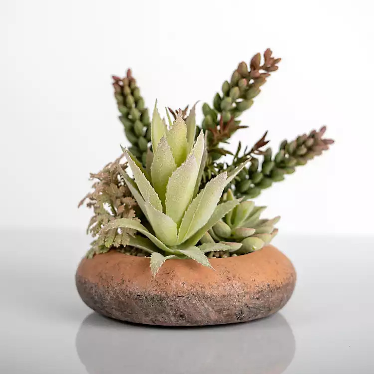 New! Succulent Mix in Round Terracotta Planter | Kirkland's Home