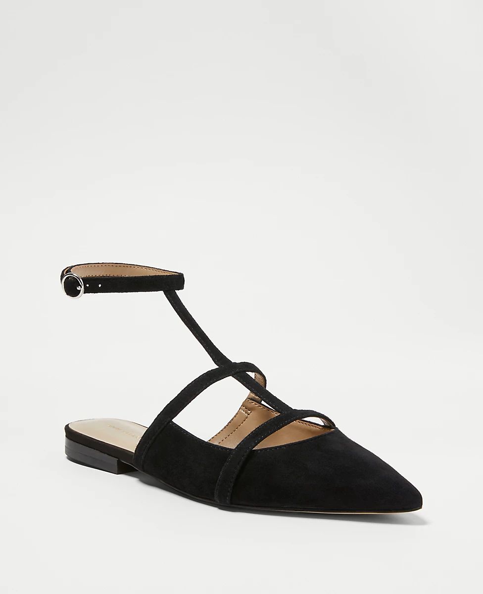 Suede Pointy Toe T-Strap Flats | Ann Taylor (US)