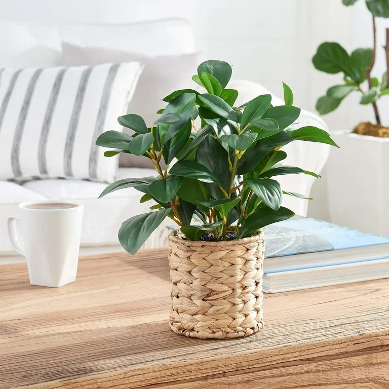 Better Homes & Gardens 13" Artificial Peperomia Plant in Wicker Basket | Walmart (US)