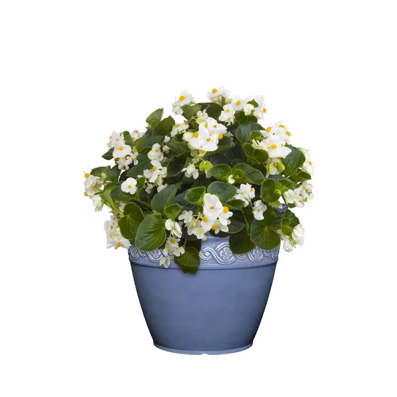 Set of 3 Corinthian Planters - Classic Home and Garden | Target