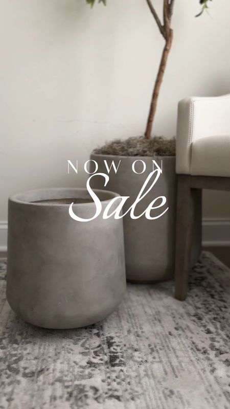 My favorite concrete planter set is currently on sale for 21% off! Grab them now to enjoy for summer planting as they can be used both indoors and outdoors. 

Viral concrete planters // CB planter dupe // designer inspired planters // modern planters cement // Amazon daily deals // Amazon home favorite 

#LTKSaleAlert #LTKHome #LTKVideo