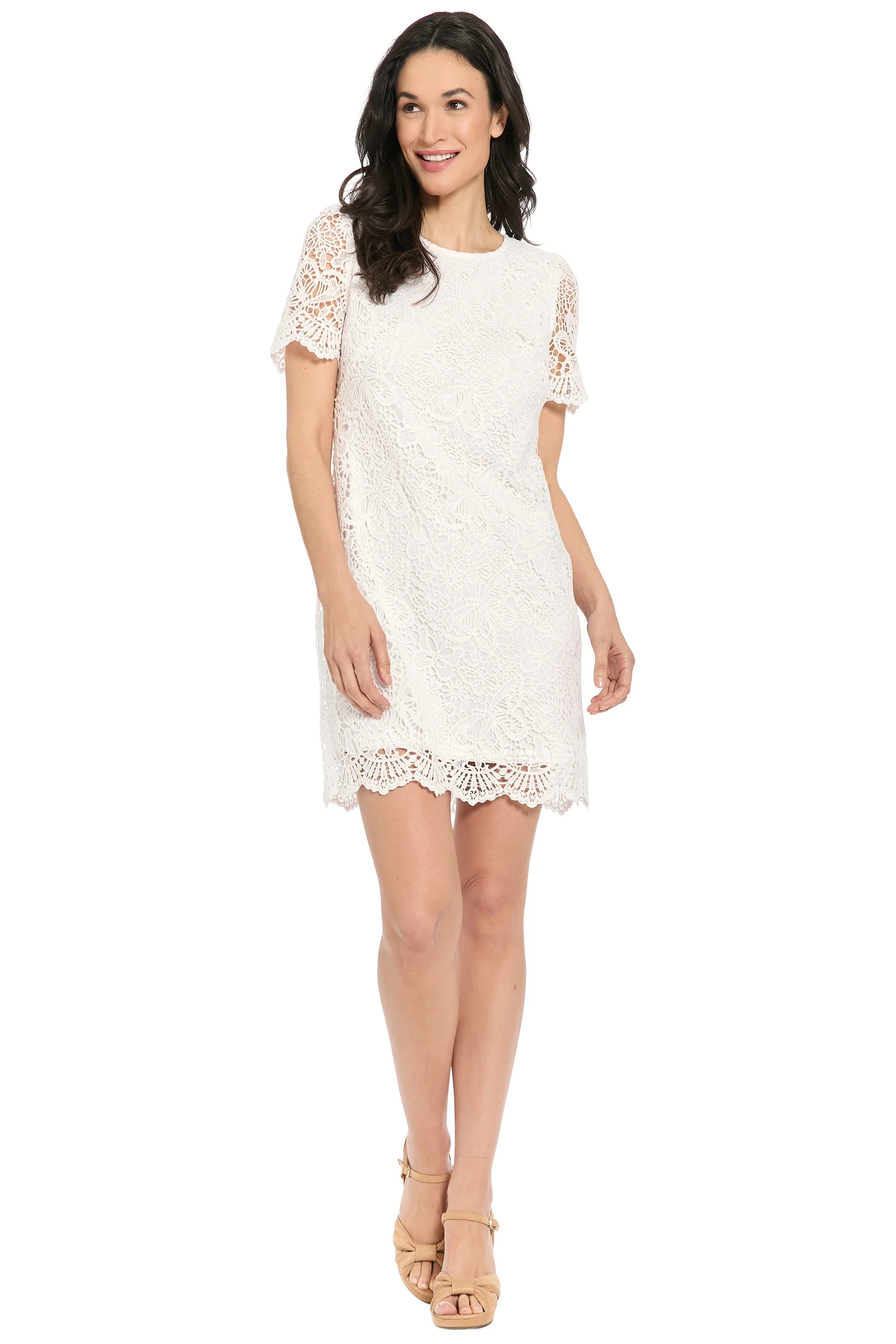 Murphy Short Sleeve Shift Dress in Butterfly Lace | Maggy London