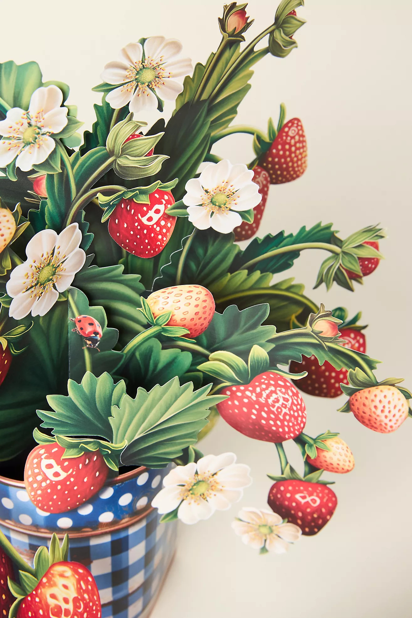 Paper Bouquet | Anthropologie (US)