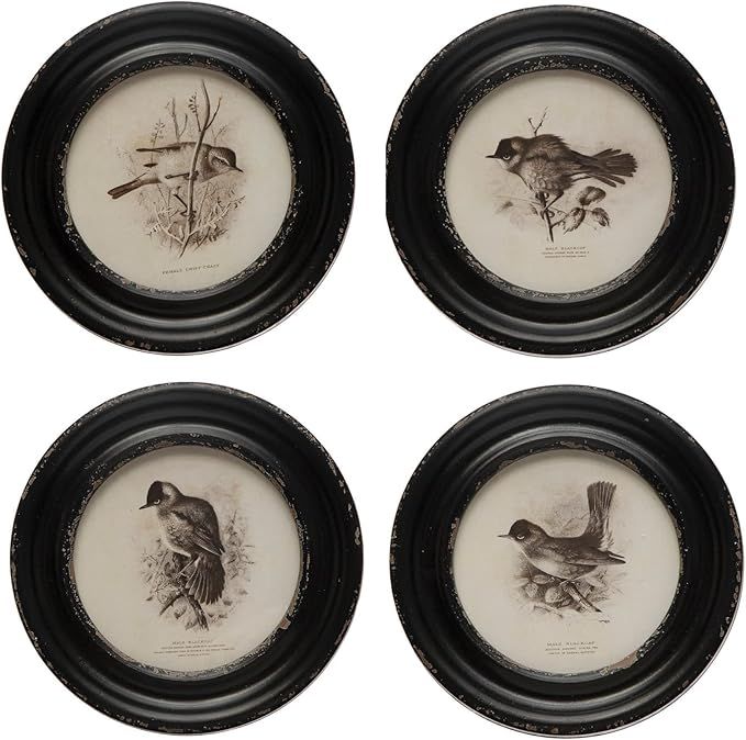 Creative Co-Op Round Wood Bird, Set of 4 Styles, Black and Ivory Framed Prints | Amazon (US)