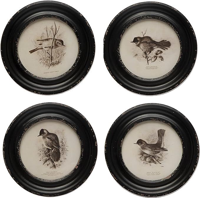 Creative Co-Op Round Wood Framed Bird Prints, Black and Ivory, Set of 4 | Amazon (US)