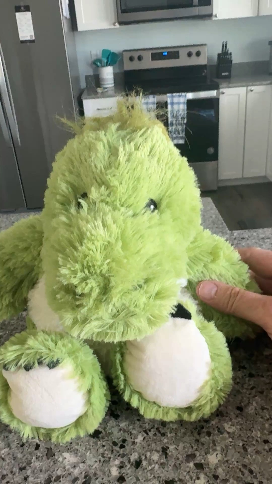 Cute Warmies Plush Dinosaur Weighted Microwaveable Toy 


#LTKKids #LTKBaby