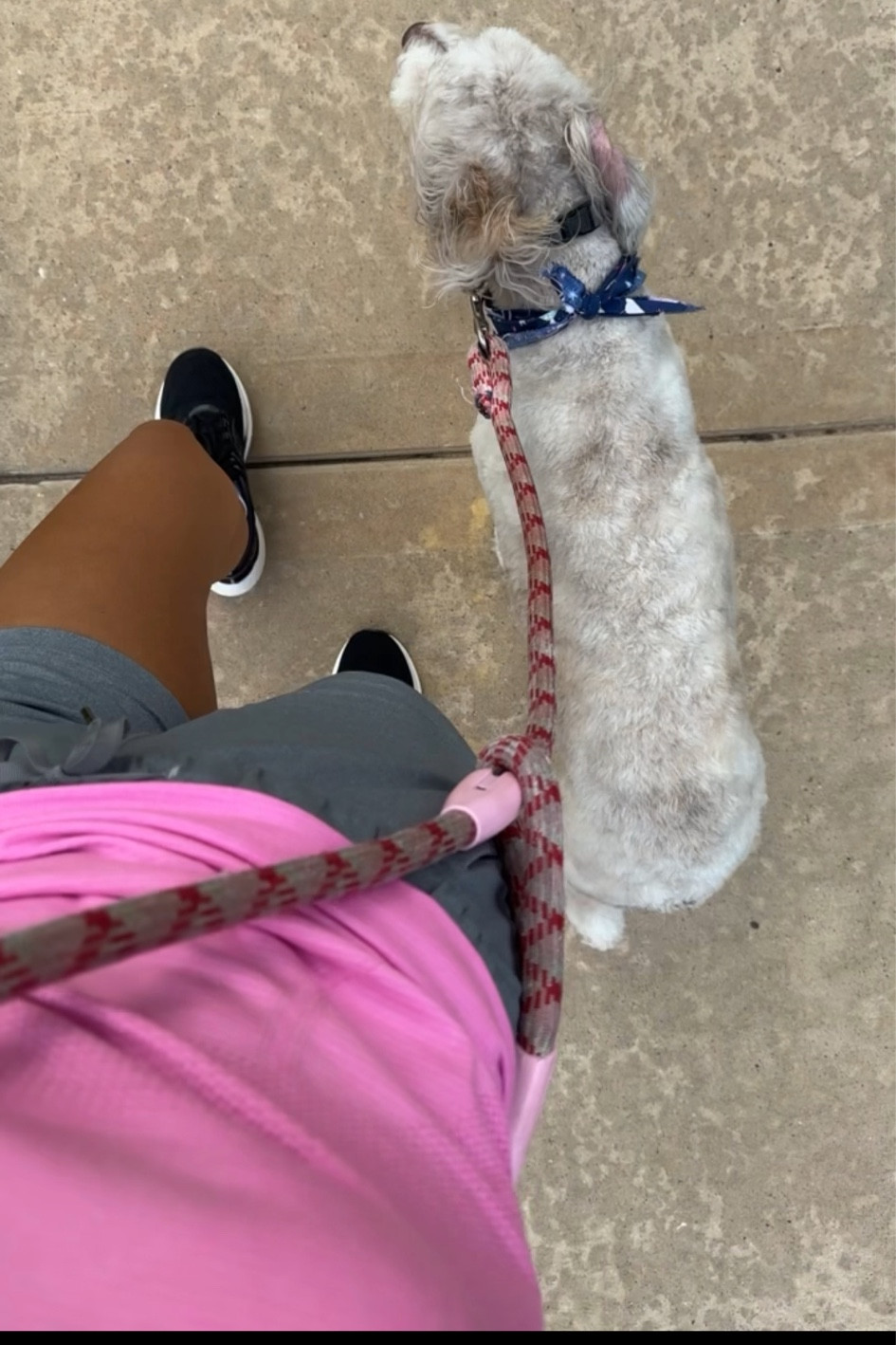 #LTKfitness #LTKActive #LTKfindsunder50