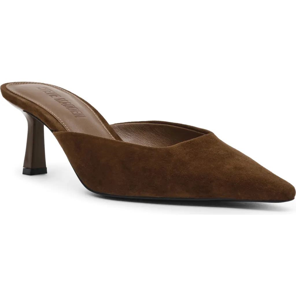 Steve Madden Lisbeth Pointed Toe Mule in Brown Suede at Nordstrom, Size 8 | Nordstrom