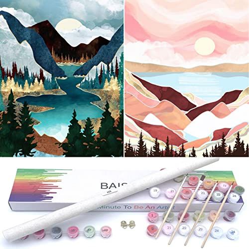 BAISITE Paint by Numbers Kit for Adults Beginners,12" Wx16 L 2 Pack Canvas Pictures Drawing Paint... | Amazon (US)