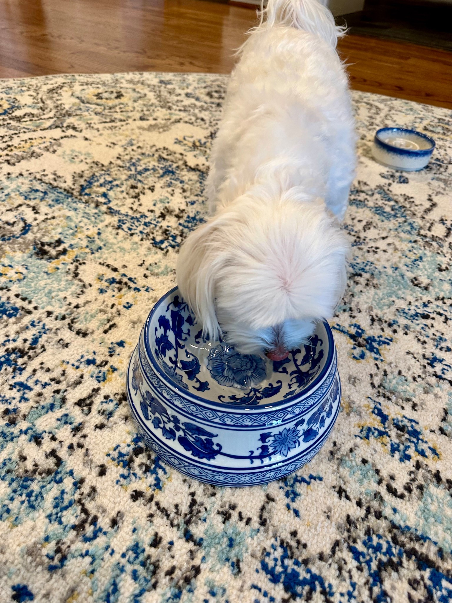 Most beautiful dog bowl I ever did see! 

#LTKPets #LTKHome