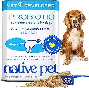 Native Pet Probiotics for Dogs – Dog Probiotic Powder for Gut & Digestive Health, Vet-Formulate... | Amazon (US)