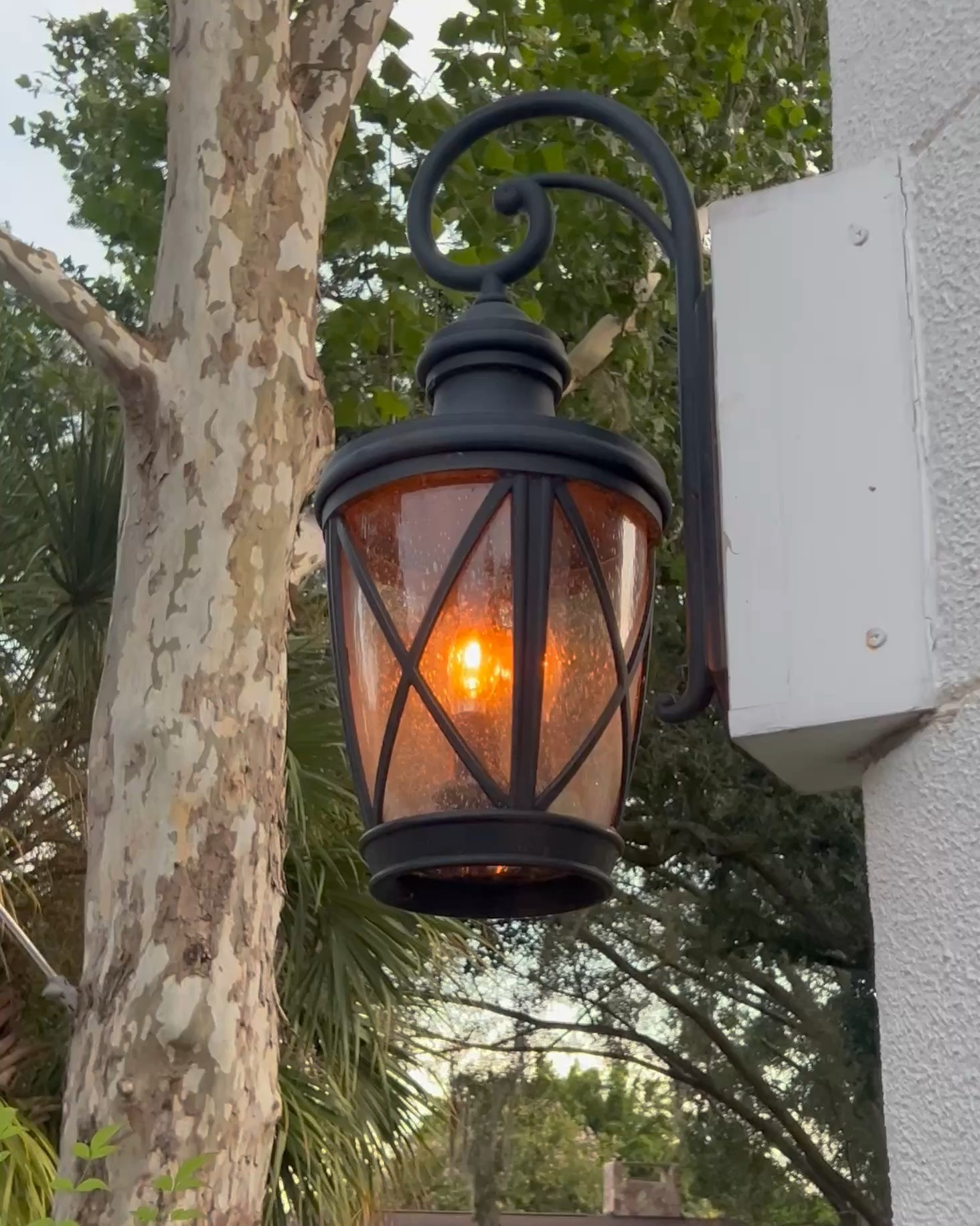 Absolutely love these gas look alike light bulbs from Amazon! They instantly upgraded our outdoor lighting! If you are looking for gas lantern look light bulbs these will make you happy!







Gas lantern lightbulbs, gas look lightbulbs, outdoor lighting, French country exterior, lanterns

#LTKHome #LTKdayinmylife