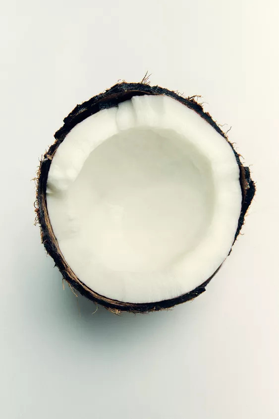 COCONUT TROPIC TIDES EDP 50ML (1.7 FL. OZ) | Zara US