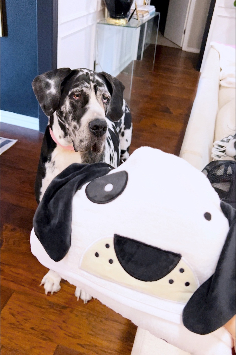 Bath
Baby
Toddler
Kid
Registry
Bump
Bathroom
Towels 

#LTKfamily #LTKbaby #LTKbump