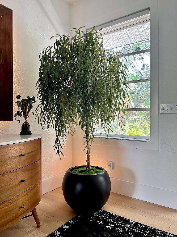 home decor
livingroom decor
home


#LTKSaleAlert #LTKFindsUnder100 #LTKHome