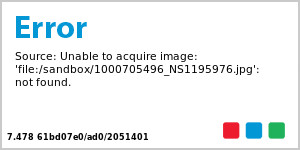 6.5in Printed Ceramic Easter Egg | TJ Maxx