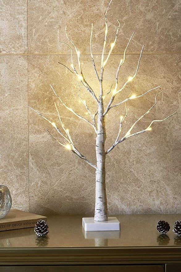 EAMBRITE 2FT 24LT Warm White LED Battery Operated Birch Tree Light Tabletop Tree Light Jewelry Ho... | Amazon (US)