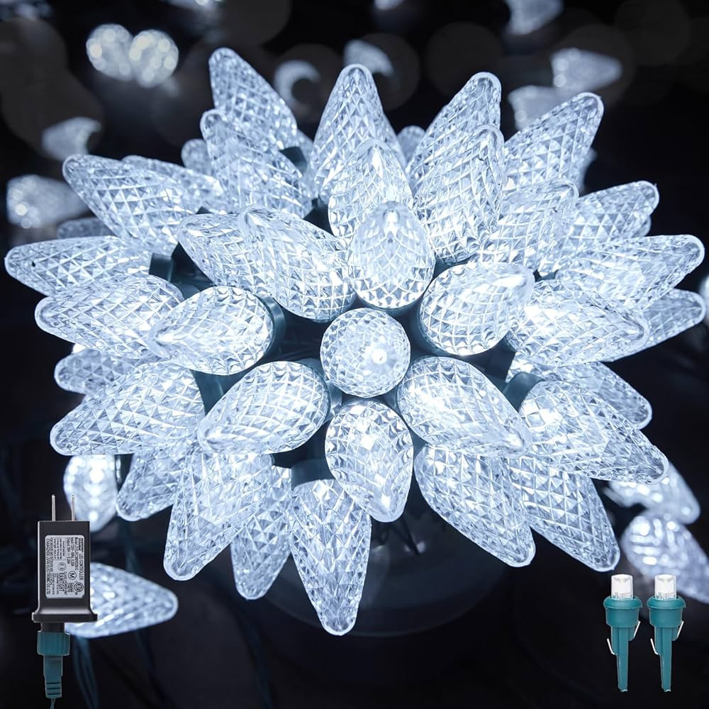 C9 LED Christmas Lights Outdoor, 81 Feet 100 LED String Lights with Timer & 8 Lighting Mode, Wate... | Amazon (US)