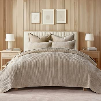 EVERGRACE Velvet Quilt Set Queen Size, Luxurious Soft Quilted Bedding Sets, Lightweight Velvet Co... | Amazon (US)