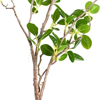 3pcs Artificial Branches Plants Greenery Stems Faux Branches for Vase Plant Artificial Eucalytus ... | Amazon (US)