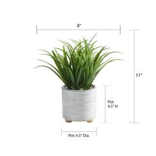 Tidy 11 in. Green Artificial Grass in Footed Ceramic Pot 10303 | The Home Depot