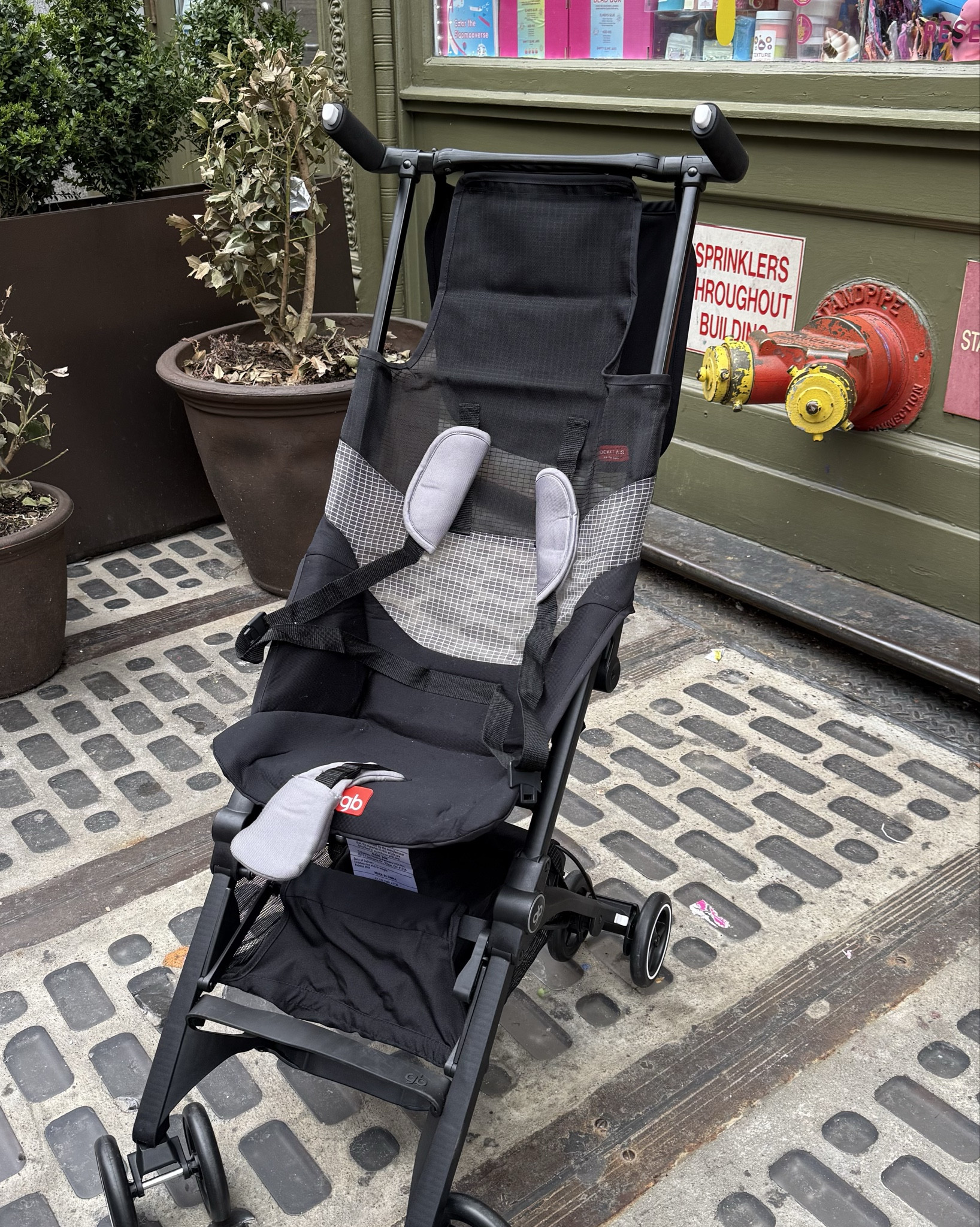 The only way we got through NYC with our 6yo was with this GB Pockit Stroller that’s only 10 pounds and folds up to the size of a cereal box! No joke! We bought a backpack to carry it for $20 and everything is linked here! 

#LTKTravel #LTKmomlife #LTKKids