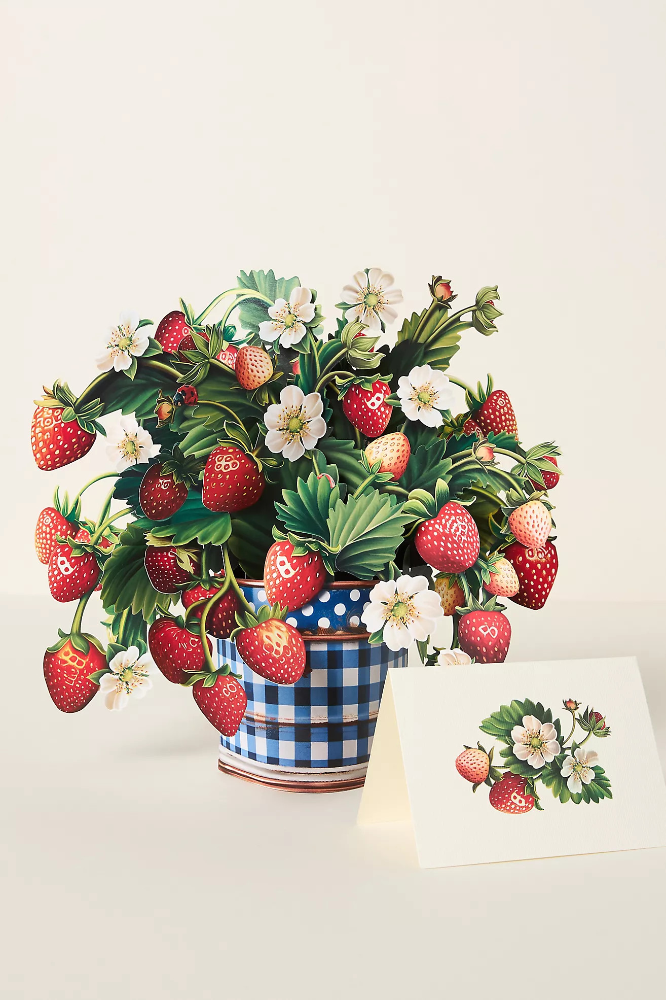 Paper Bouquet | Anthropologie (US)