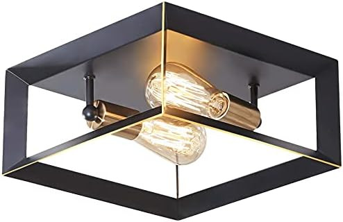 LeminFan 2-Light Flush Mount Ceiling Light Fixture, Rustic Vintage Ceiling Lights, Black Metal, Indu | Amazon (US)