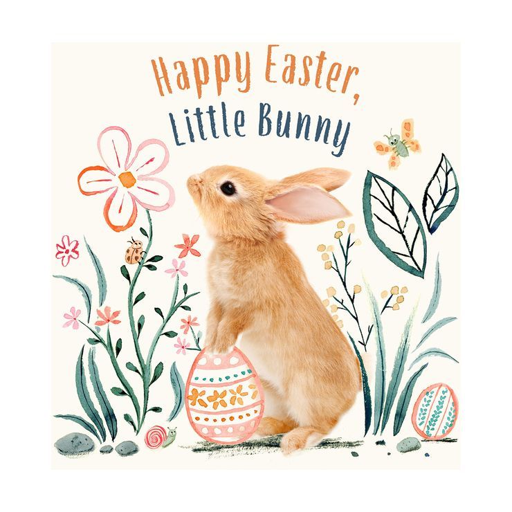 Happy Easter, Little Bunny - (Baby Animal Tales) by  Amanda Wood (Board Book) | Target