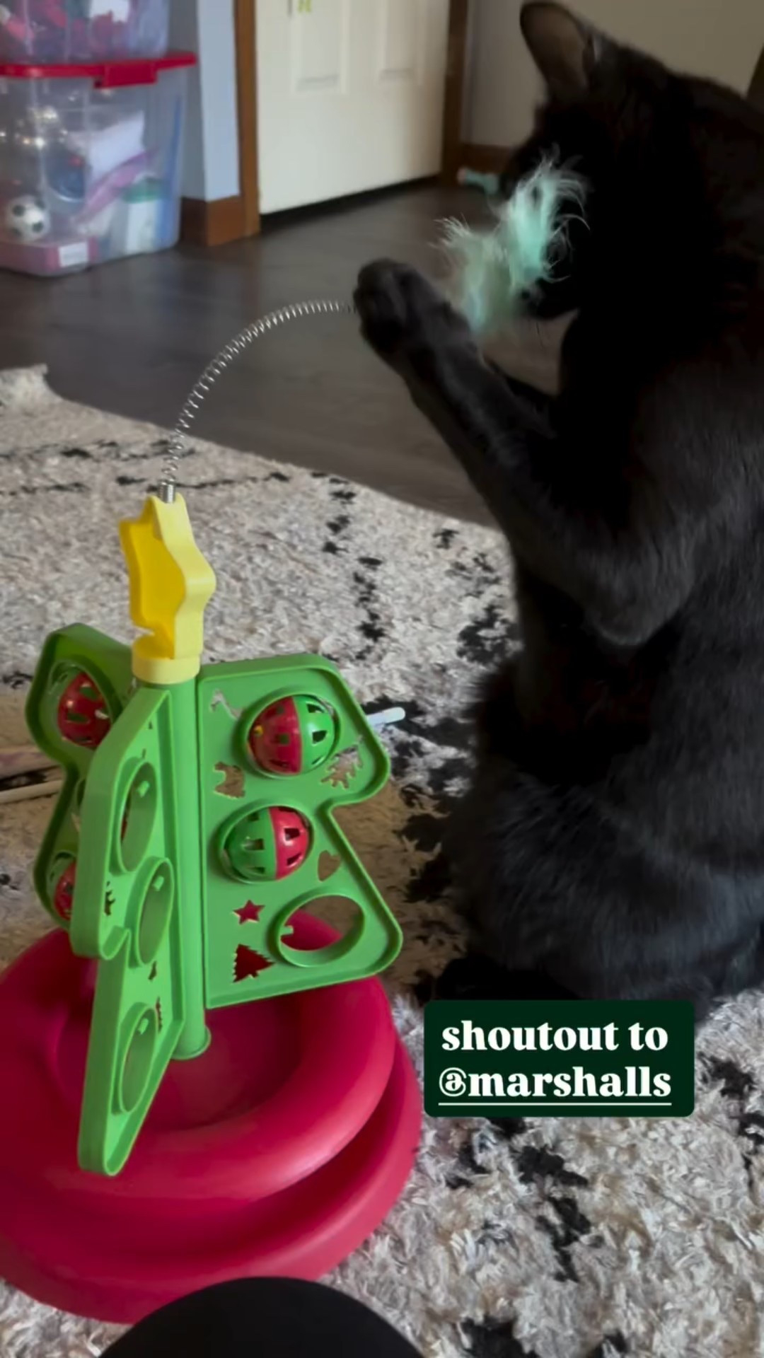 shoutout to @marshalls

did a little christmas shopping and of course had to get a little something for my furbaby!

#LTKFindsUnder50 #LTKGiftGuide #LTKHoliday