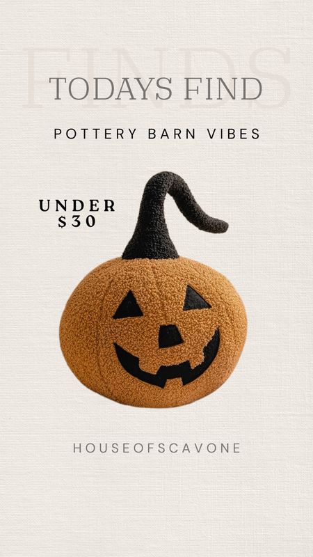 todays find 🎃 giving such pottery barn vibes I am obsessed and it comes in 3 colors #potterybarnvibes #pb #pbdupe #pumpkin #sheprapillow #shepra #pumpkinpillow #halloweenpillow #halloweendecor #homedecor #falldecor

#LTKFind #LTKhome #LTKSale