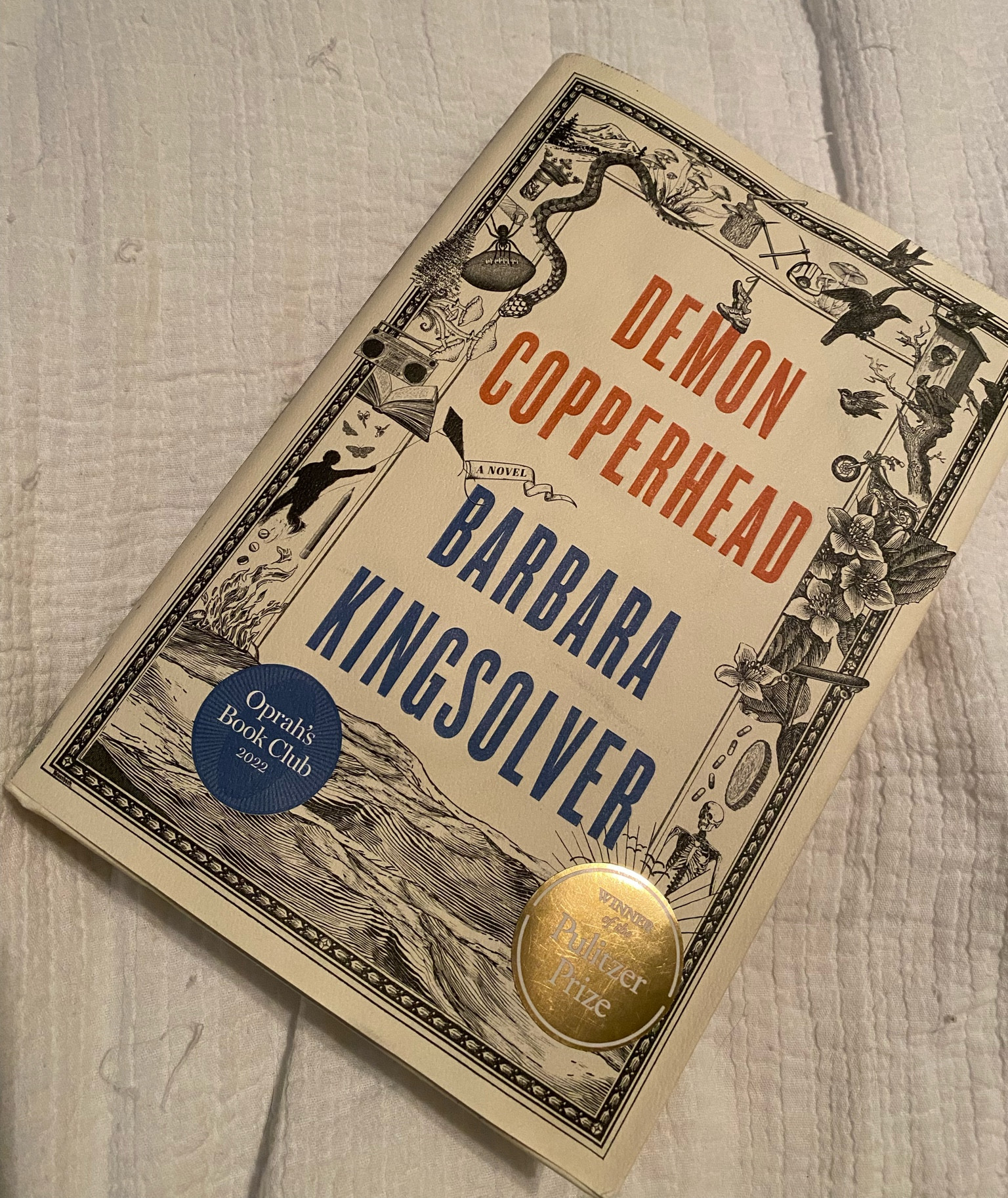 Currently reading. Book club. Read with me. This book is unlike anything I’ve read and I’m loving it. It’s also $13 off!!!
