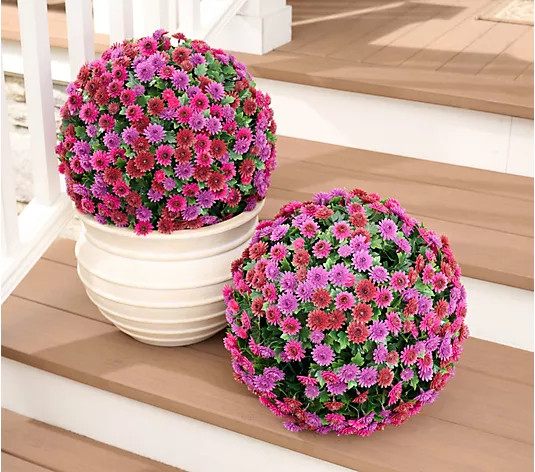 Wicker Park Set of 2 Oversized Faux Floral Spheres | QVC