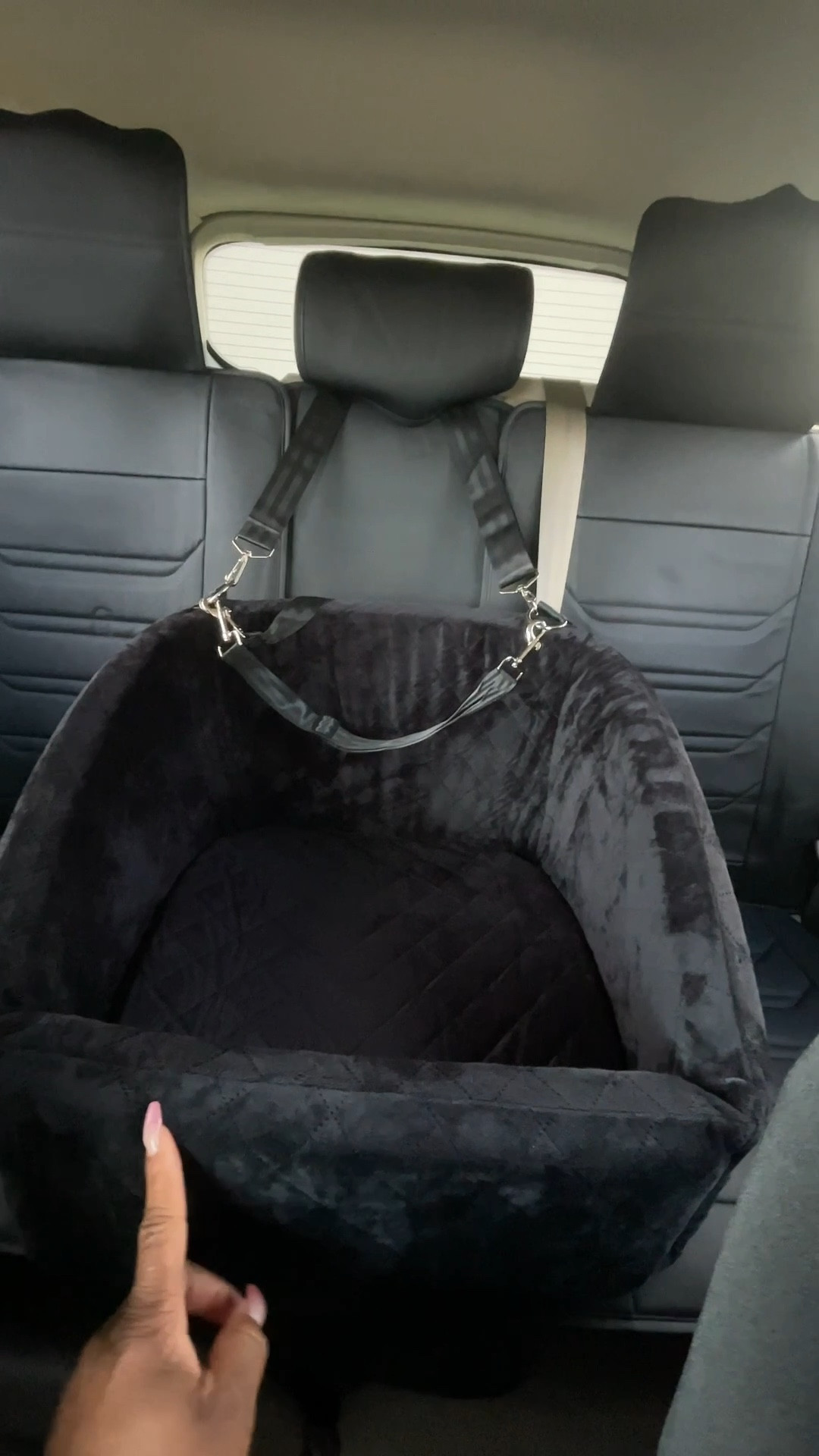 I love this cute carseat for my mini poodle! 🫶🏾

#LTKU #LTKFindsUnder100