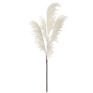 White Pampas Bush Stem by Ashland® | Michaels | Michaels Stores