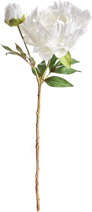 Napa Home & Garden, Peony STEM 21" | Amazon (US)