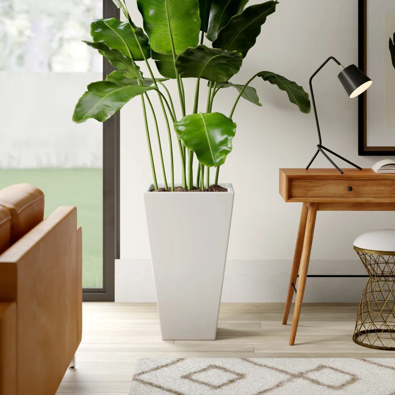 Shellenbarger Tall Fiberglass Pot Planter | Wayfair North America