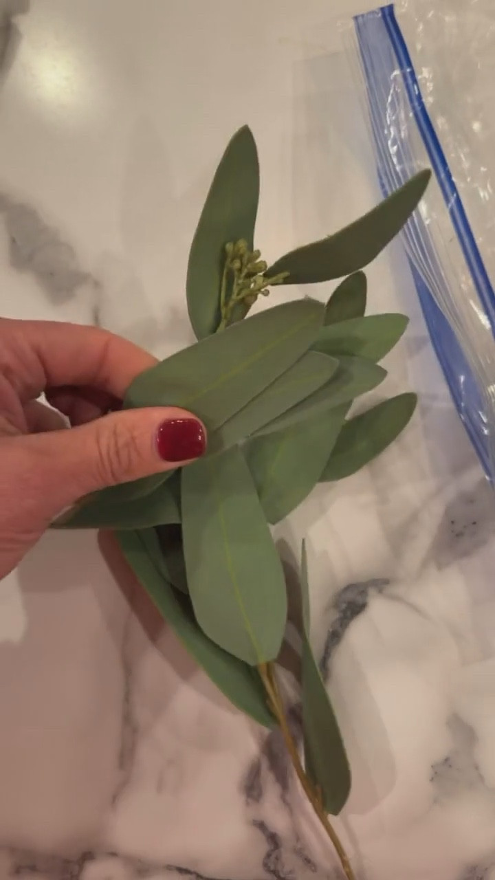 The perfect addition to your holiday garland! 

#eucalyptus #holidaygarland #christmasdecor #homedecorseasonal #garland 

#LTKHoliday #LTKHome #LTKSeasonal