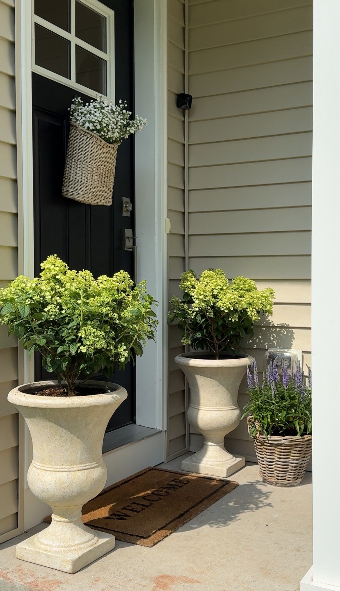 6/11/25 front porch setup 🫶🏼 small porch plant setup, cozy front porch plants, neutral outdoor plant pots, cozy home plant decor, outdoor pots and planters, cozy small porch styling, front porch home refresh, cozy outdoor home vibe, neutral cozy home entry, gentle outdoor styling, soft neutral outdoor setup

