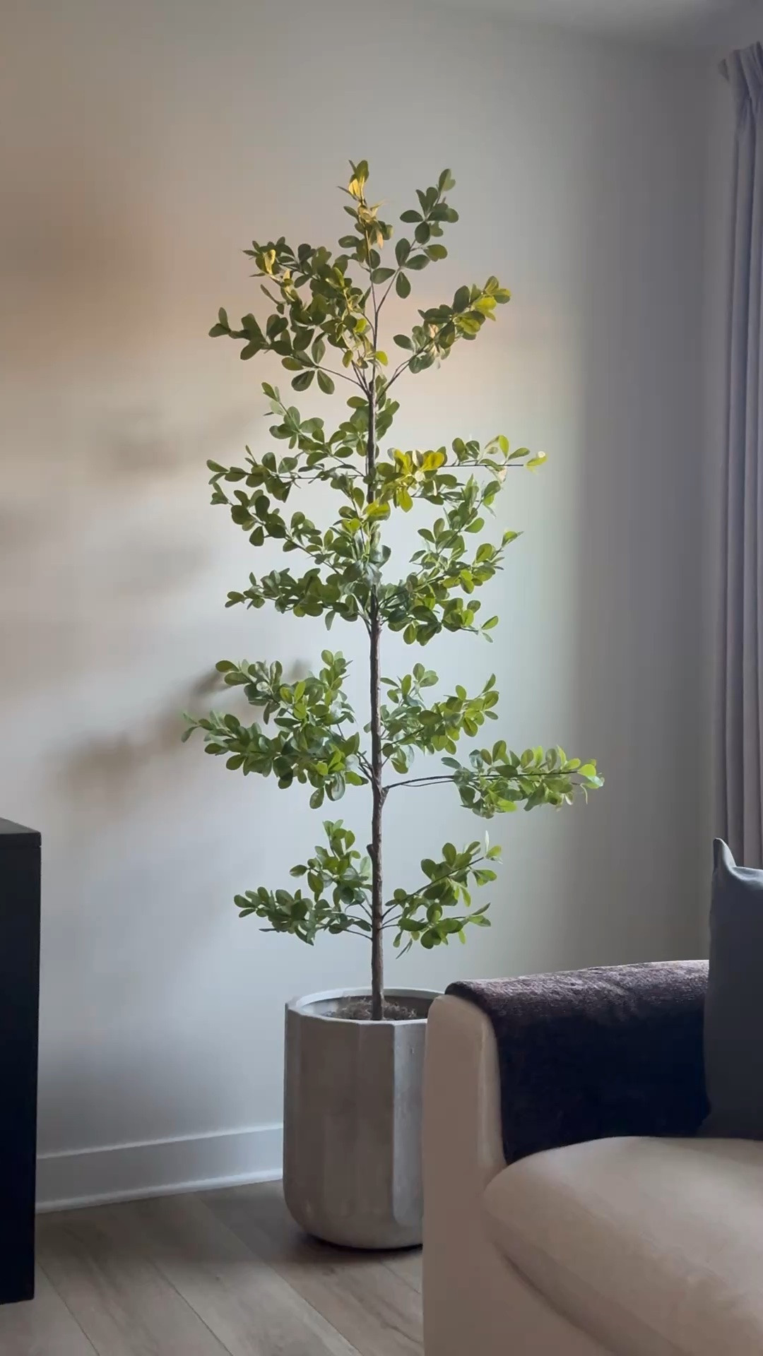Faux tree, shady lady tree, concrete planter, planter

#LTKSaleAlert #LTKHome #LTKSeasonal