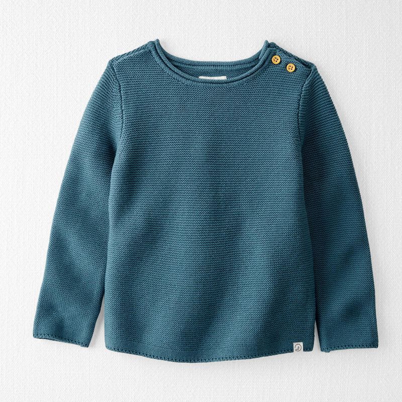 Toddler Organic Cotton Knit Pullover Sweater | Carter's