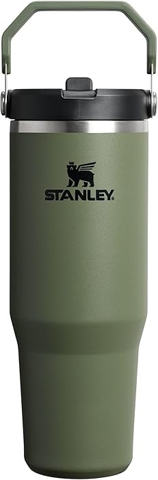 STANLEY IceFlow 2.0 Flip Straw Tumbler with Handle 30 oz | Twist On Lid and Flip Up Straw | Leakp... | Amazon (US)