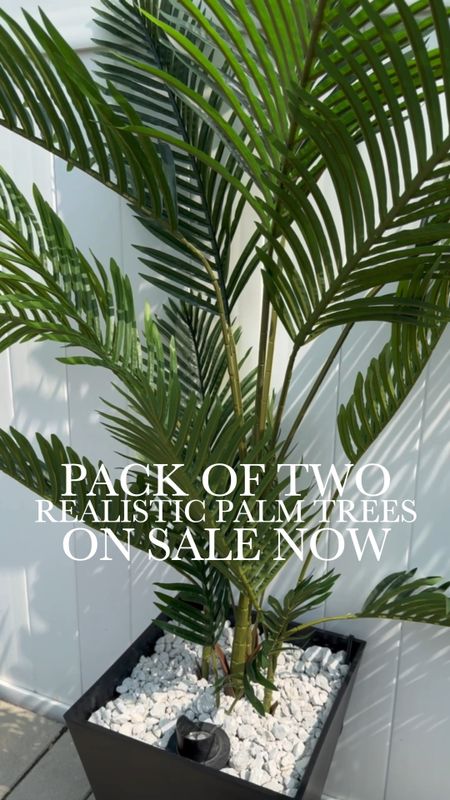 Realistic palm trees, outdoor palm tree, backyard decor, outdoor living, summer decor, patio find, two pack palms. On sale! Realistic looking outdoor palm trees, landscape lighting, uplights, black veradek modern planter, marble chips, patio decor, tropical decor

#LTKSeasonal #LTKhome