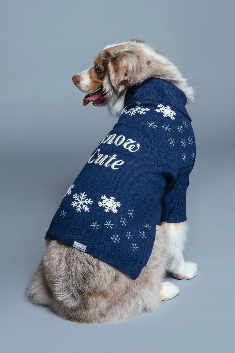 Snow Cute Jumper | max-bone