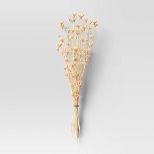 23.6" Bleached Nigella Dried Bundle - Threshold™ | Target