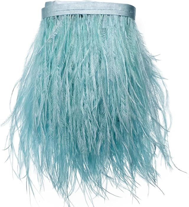 Happy feather 2 Yards 5-6inch Dyed Ostrich Feathers Trim Fringe 5-6inch for DIY Dress Sewing Craf... | Amazon (US)
