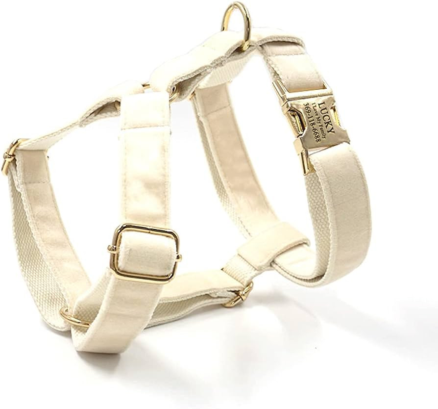 PETDURO Personalized Fancy Cute Soft Velvet Dog Harness with Name Engraved Gold Metal Buckle for ... | Amazon (US)