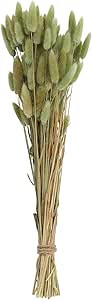 Creative Co-Op Bunny Tail Grass Bouquet | Amazon (US)