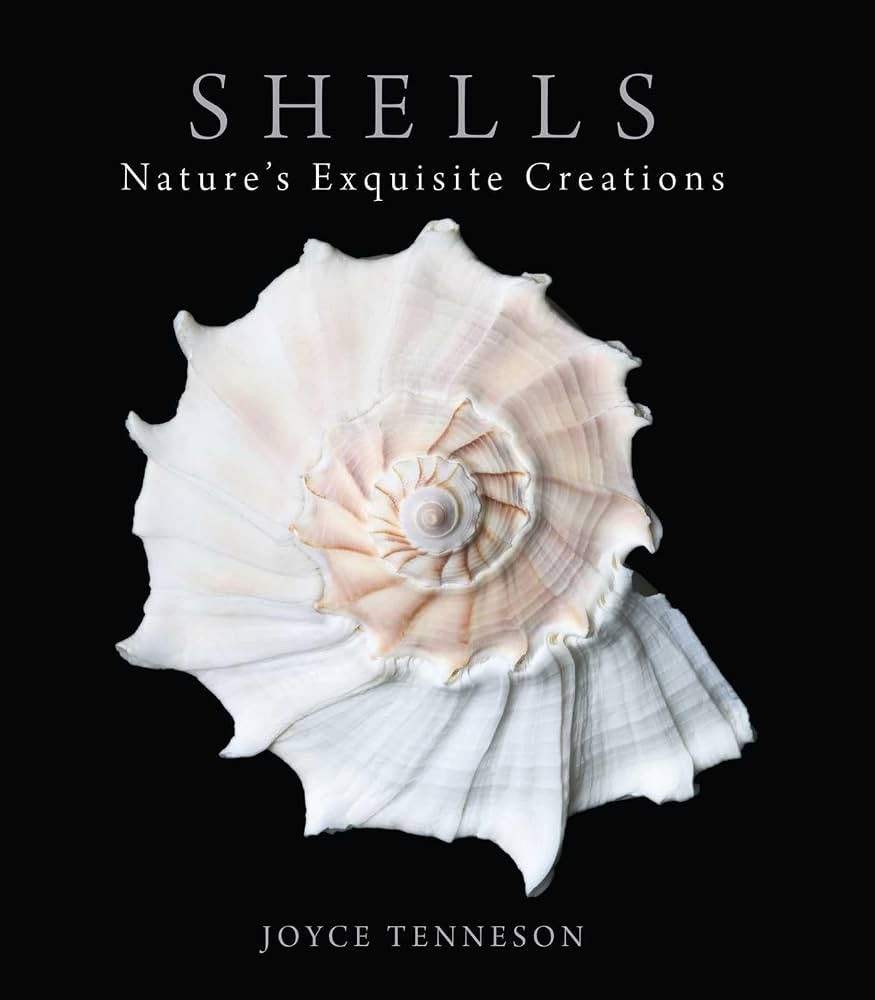 Shells: Nature's Exquisite Creations | Amazon (US)