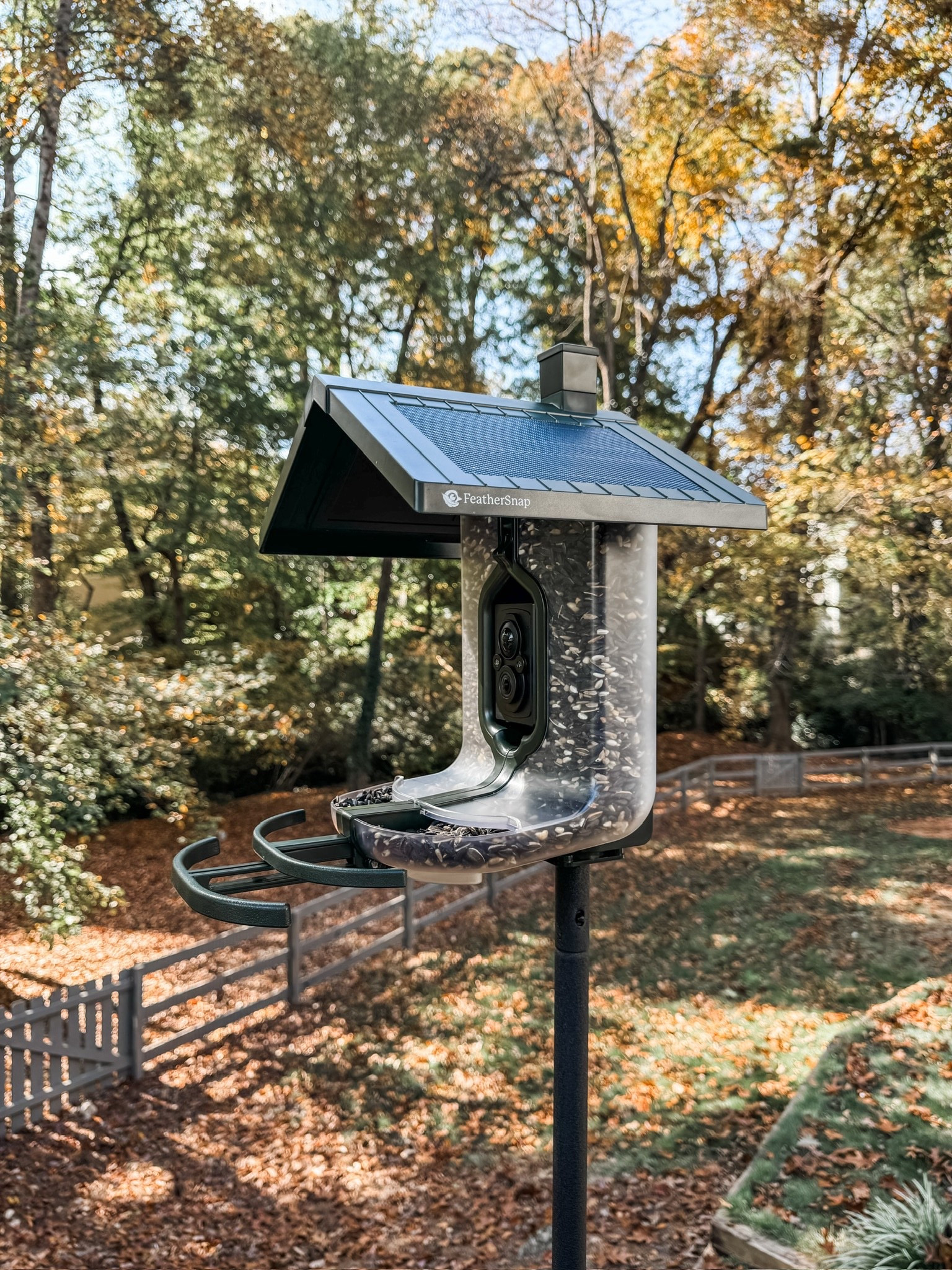 The smartest way to enjoy birdwatching from home 🪶💡 This smart bird feeder with camera lets you see every feathered visitor in real time — all from your phone! The solar-powered design keeps it charged, and the motion sensor camera captures every moment in crisp detail 🌿

Perfect for your backyard setup or garden space, this little gadget makes birdwatching easier (and prettier!) than ever.

Shop my favorite bird feeders, garden finds, and outdoor tech on LTK 🐦

#SmartBirdFeeder #BirdWatching #OutdoorTech #GardenGadgets #BackyardDecor #SolarBirdFeeder #FeatherSnap #WildlifeLovers #OutdoorLiving #GardenInspo #NatureLovers #LTKHome #LTKFinds #eanesinteriors


#LTKmorningroutine #LTKHome #LTKdayinmylife